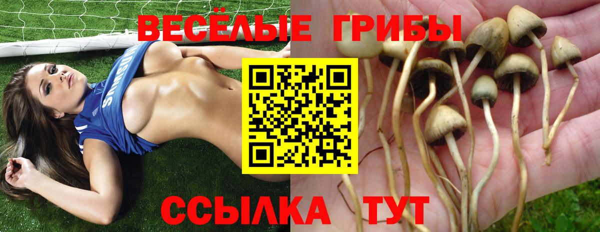 что такое   Галлюциногенные грибы MAGIC MUSHROOMS  Вход с VPN  Трёхгорный 